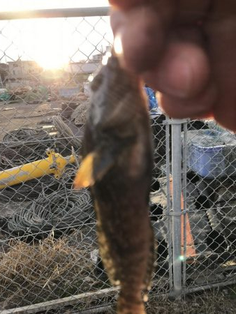 大潮 強風 寒い