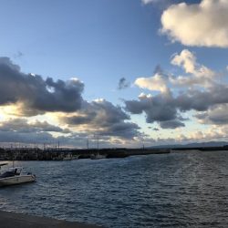 釣り納めメバリング