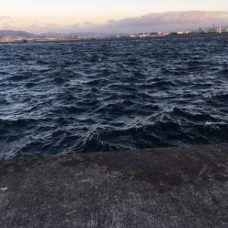 タチウオ　年内はまだ大丈夫