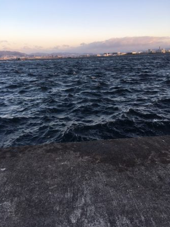 タチウオ　年内はまだ大丈夫