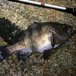 サタデーナイトフィーバー!!