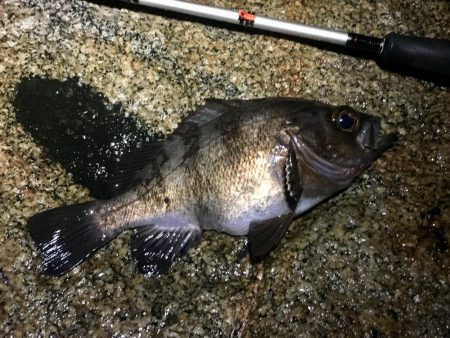 サタデーナイトフィーバー！！