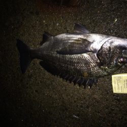 暖かいし  暇やし