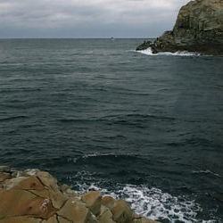 今期初参戦、平島にてヒラス狙い。