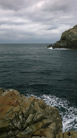 今期初参戦、平島にてヒラス狙い。