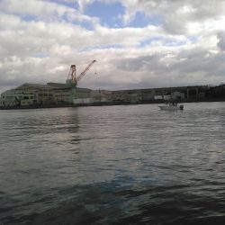 初ショアブリ！