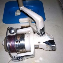 久し振りの釣果です。