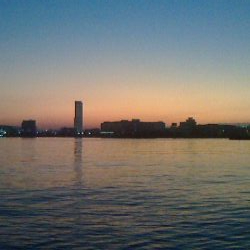 少しずつ太くなってる