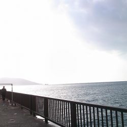 ファミリーフィッシング釣り納め