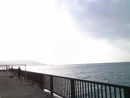 ファミリーフィッシング釣り納め