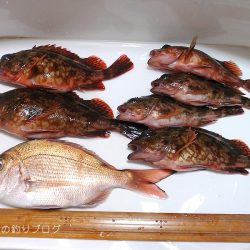 大物バラシ3連発!