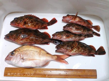 大物バラシ3連発!