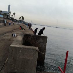 鳴尾浜釣り公園