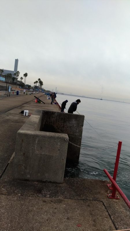 鳴尾浜釣り公園