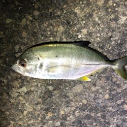 メッキうじゃうじゃ