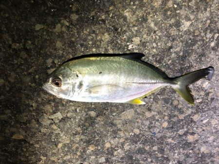 メッキうじゃうじゃ