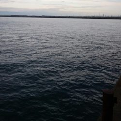 タチウオ短時間釣り