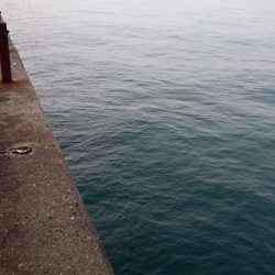 極寒タチウオ釣行