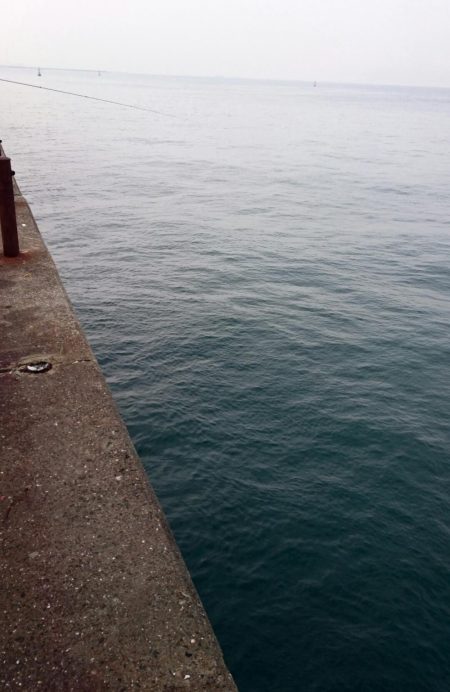 極寒タチウオ釣行