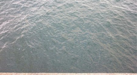 しつこく太刀魚釣り