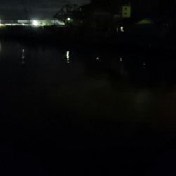 三連休最終日タチウオ釣行