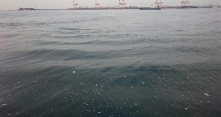 今ｼｰｽﾞﾝ最後のタチウオ釣行、多分・・・