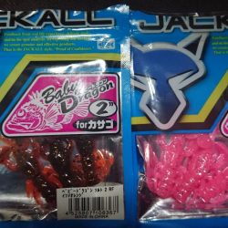 極寒朝練デカガシラキャッチ成功！