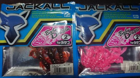 極寒朝練デカガシラキャッチ成功！