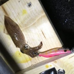 倉庫前でヒイカ