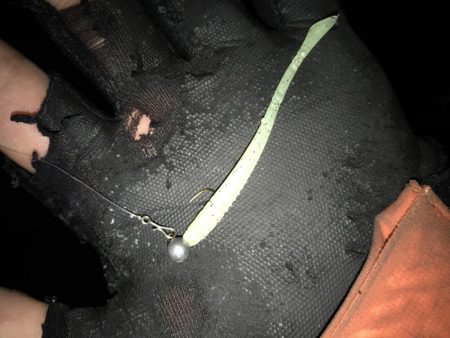 まだまだ芦屋浜アジング行けます！