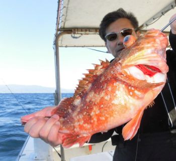 根魚釣り