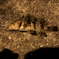 堤防からマイクロテンヤ