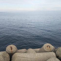 ちょい投げ釣り