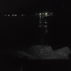 ボウズは回避出来たが…