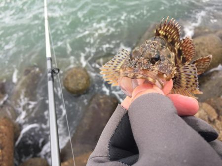 冬将軍と穴釣り