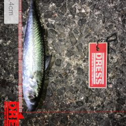 メバリン……サバゲー！！！