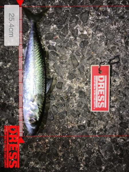 メバリン……サバゲー！！！