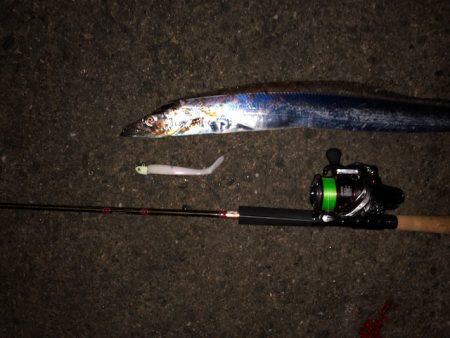 明石ワインド17