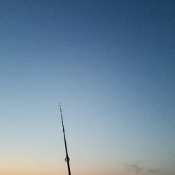 ガシラ釣り ~まだ時期が早いか~