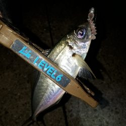 オフになると、釣り