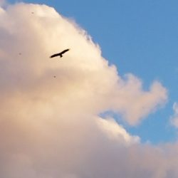 キス釣り　～12月にキス！？～