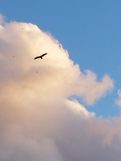 キス釣り　～12月にキス！？～