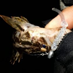 たのいしぃーなぁ~