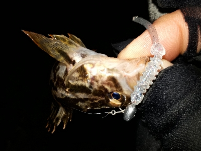 たのいしぃーなぁ~