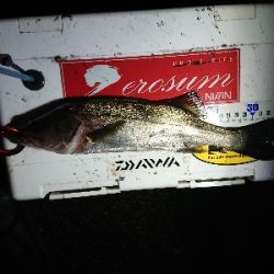 大小堪能できました