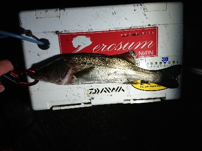 大小堪能できました