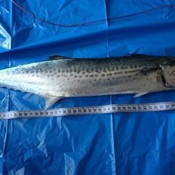 仕事が急に休み！