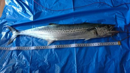 仕事が急に休み！