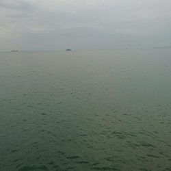 今日もお休みーだっ