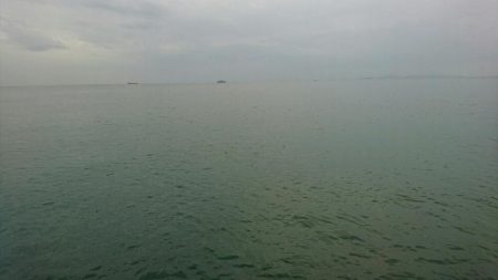 今日もお休みーだっ